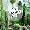 عکس انواع کاکتوس با اسم